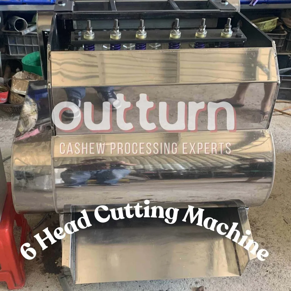 OUTTURN 6-head cashew cutting machine in operation