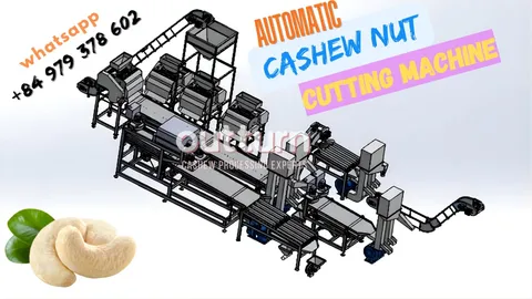 Complete OUTTURN automatic cashew nut cutting line with multiple cutting heads, sieve, and centrifuge in a Vietnam factory