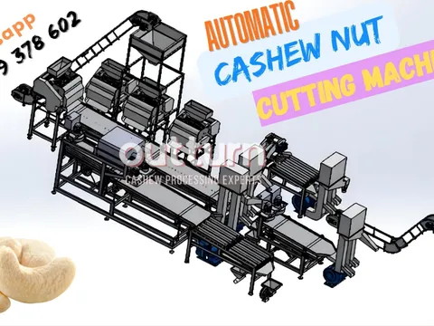 Complete OUTTURN automatic cashew nut cutting line with multiple cutting heads, sieve, and centrifuge in a Vietnam factory