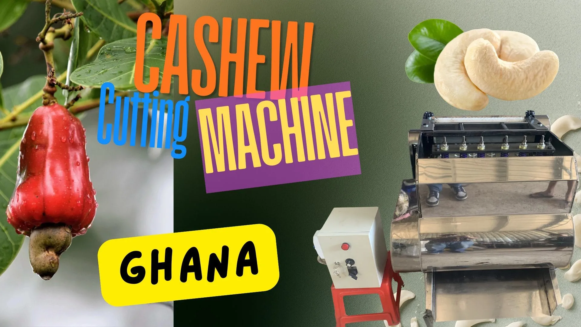 Raw cashew nuts from a Ghanaian farm ready for processing, next to an OUTTURN cutting machine