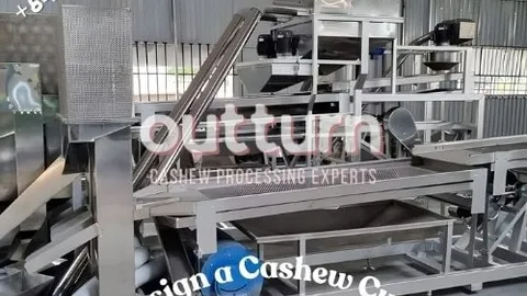 Cashew processing line with cutting machines and trays of kernels, illustrating an ROI calculation for a cutting-line investment
