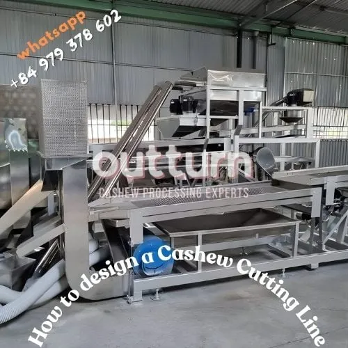 Rows of OUTTURN rotary cashew cutting machines arranged on a factory floor as part of a sized cutting line