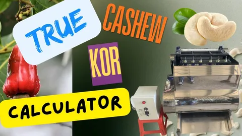 Cashew processing floor scale used to weigh raw cashew nut batches for stage-by-stage KOR tracking